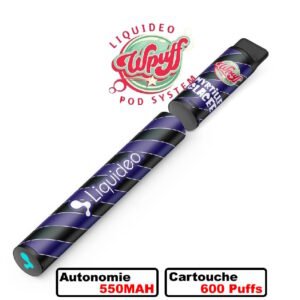 Wpuff-Original-Pod-600-1-batterie-1-pod-09-nicotine-myrtille-glacee