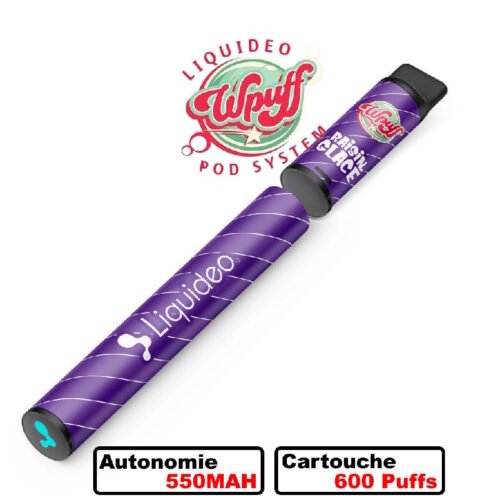 Wpuff-Original-Pod-600-1-batterie-1-pod-09-nicotine-rainsin-glace