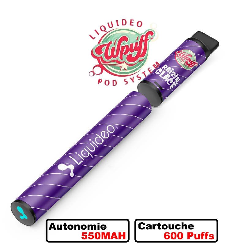 Wpuff-Original-Pod-600-1-batterie-1-pod-09-nicotine-rainsin-glace