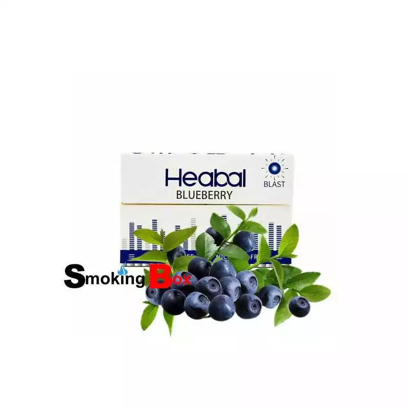 blueberry-blast-myrtille-heabal-stick-aux-herbes-sans-tabac-heat-not-burn