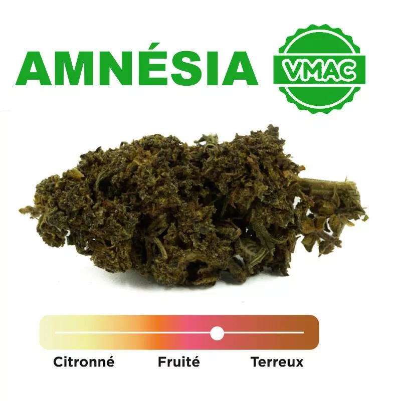 fleurs-amnesia-vmac-2g-white-rabbit-hhc-equivalent fleurs-amnesia-vmac-2g-white-rabbit-hhc-equivalent
