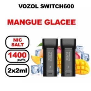 Vozol x2 cartouches pré-remplies 2ml sans fuite-mangue glacee