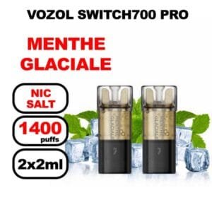 Vozol x2 cartouches pré-remplies 2ml sans fuite- menthe glaciale