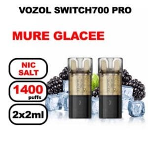 Vozol x2 cartouches pré-remplies 2ml sans fuite- mure glacee