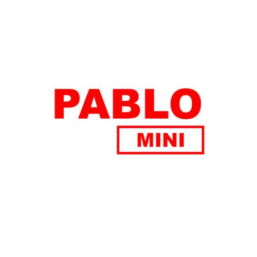 Snus PABLO MINI 15mg Nicotine Pouches sans tabac strong