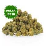 MINI-BUD-TONIC-INDOOR-DELTA-BZ10