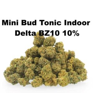 MINI-BUD-TONIC-INDOOR-DELTA-BZ10
