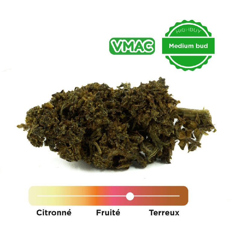 vmac cbd amnésia fleur