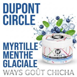 Gout-Chicha-Cellulose-Dupont-Circle-Myrtille-Menthe-glaciale-200g-Ways