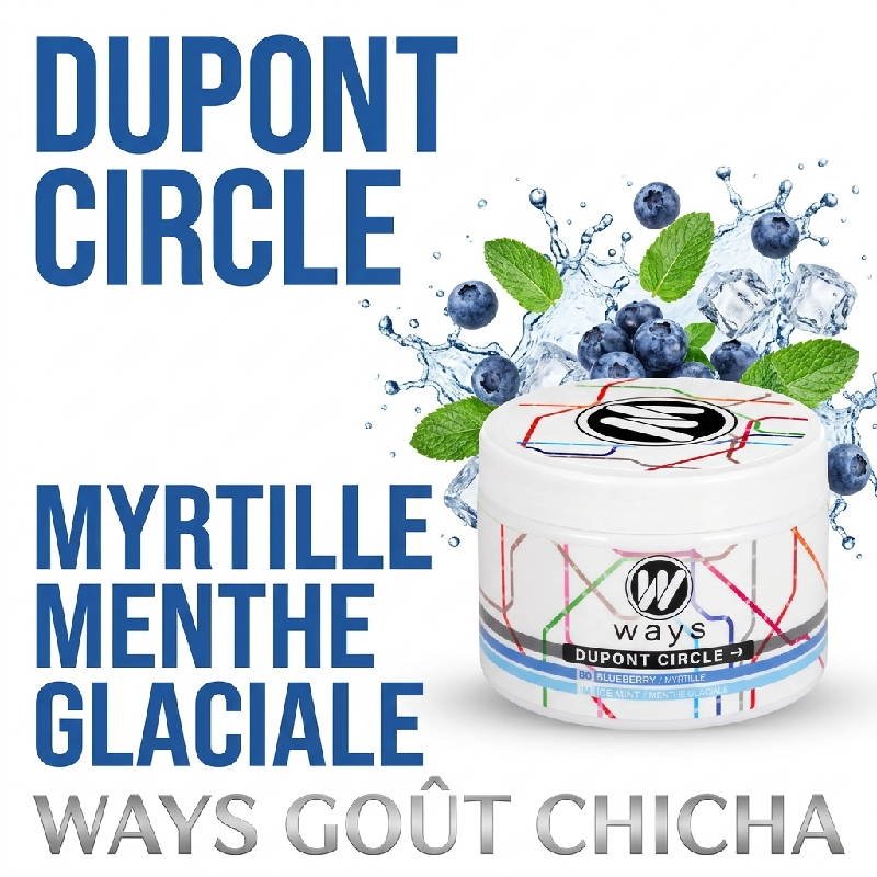 Gout-Chicha-Cellulose-Dupont-Circle-Myrtille-Menthe-glaciale-200g-Ways