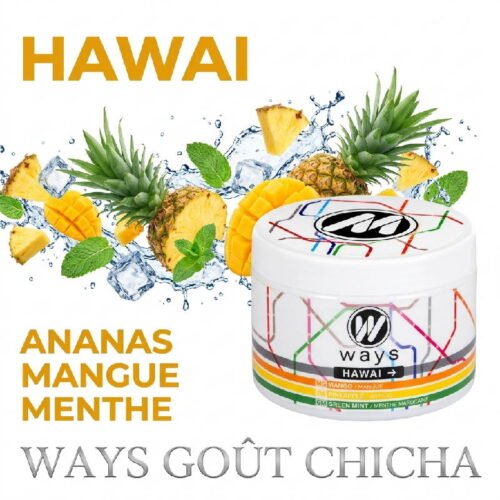 Gout-Chicha-Cellulose-Hawai-Mangue-ananas-menthe-marocaine-200g-Ways