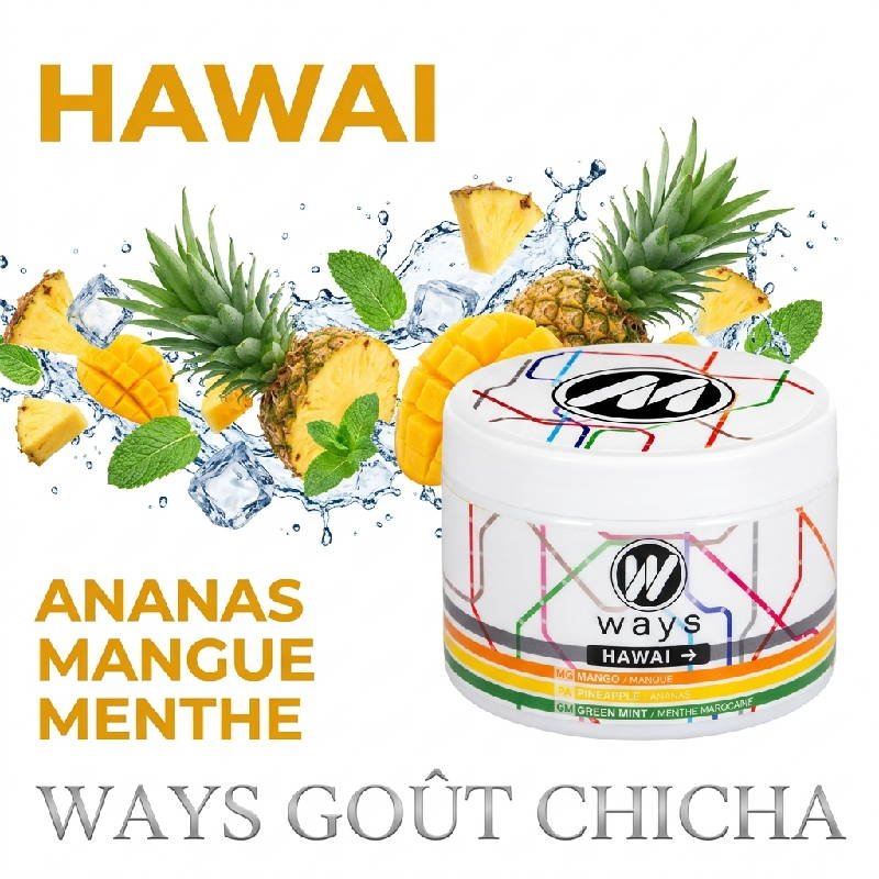Gout-Chicha-Cellulose-Hawai-Mangue-ananas-menthe-marocaine-200g-Ways