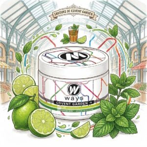 covent-garden-citron-vert-menthe-marocaine-chicha-gout-fibre-zero-nicotine-ways-200g-gamme