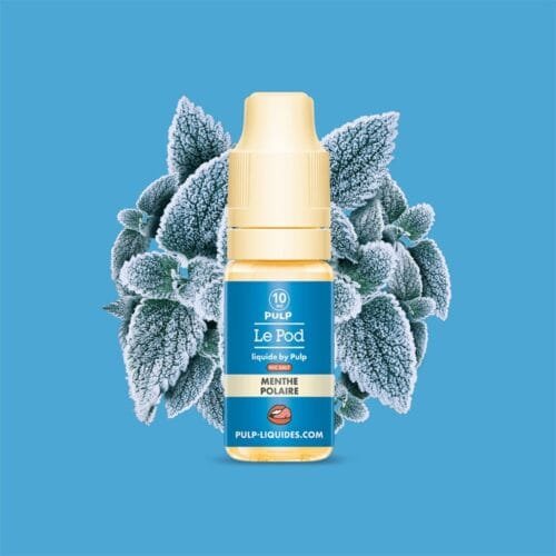 eliquide le pod by pulp sels de nicotine nic salt gros fumeur saveur menthe polaire