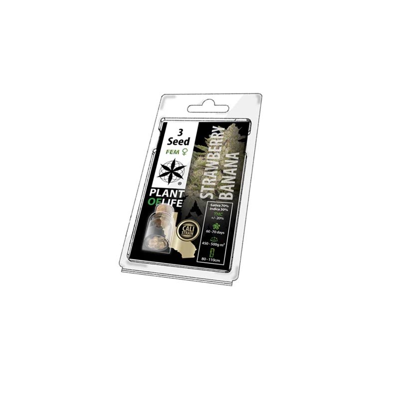 Graines de Cannabis FÉMINISÉE - Seeds FEM Plant of life de Collection