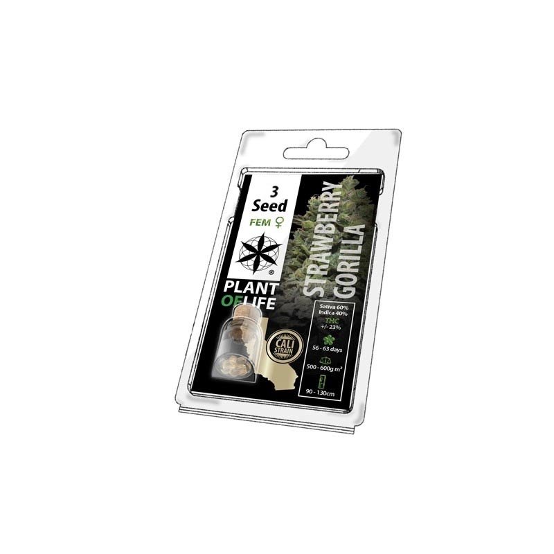 Graines de Cannabis FÉMINISÉE - Seeds FEM Plant of life de Collection