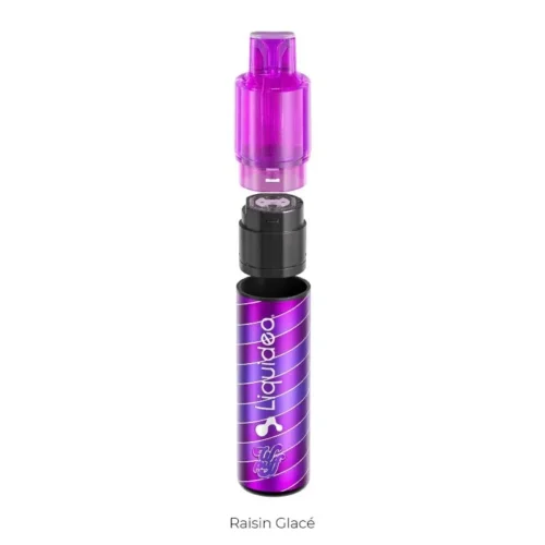 wpuff-fusion-kit-starter-raisin-glacee