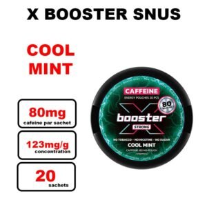 X Booster sachets de caféine puissants - Alternative idéale au snus- cool mint