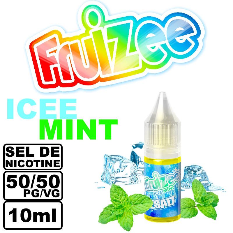 FRUIZE-SEL-DE-NICOTINE-ESALT-10ML-FRUITE-FRAIS-ICEE-MINT