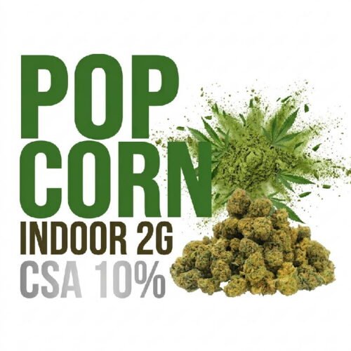 indoor-CSA-10-POP-CORN-2g