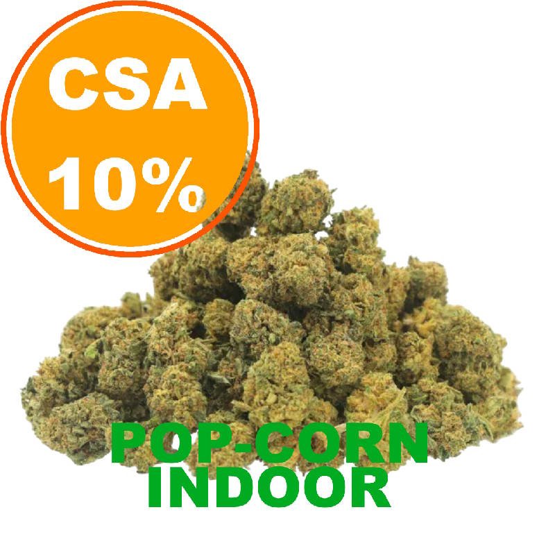 indoor-CSA10-POP-CORN