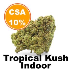 tropical-kush-fleur-cbd-csa10-indoor-booster