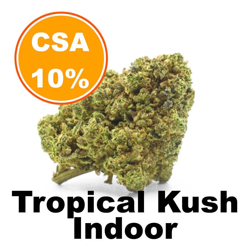 tropical-kush-fleur-cbd-csa10-indoor-booster