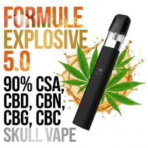Puff cbd Skull Vape 700 puff – 1000mg – 1ml | 90% CSA, CBD, CBN, CBG, CBC