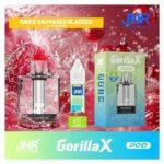 jnr-gorilla-x-pod-remplissable-cartouche-vide-20mg-10ml-baies-sauvages-glacees-decoration