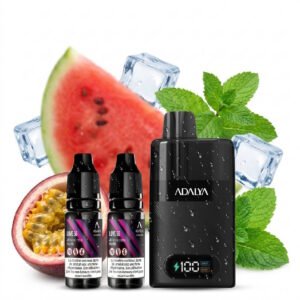 puff-levo-30k-1000mah-10ml-2x10ml-love66-pasteque-passion-menthe-frais