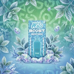 wilo-boost-recharges-210ml-menthe-fraiche