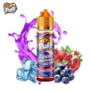 e-liquide-Goo-Puff-50ml-GooPuff-0mg-alternative-jnr-blueberry-pomegranate-ice-myrtille-grenade-glacee