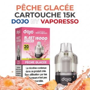 pod-dojo-blast-15k-dojo-by-vaporesso-peche-glacée pod-dojo-blast-15k-dojo-by-vaporesso-peche-glacee