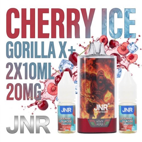 puff-rechargeable-falcon-x-plus-cherry-ice-jnr