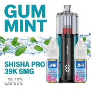 e-shisha-pro-jnr-39k-ecig-1100mah-gum-mint