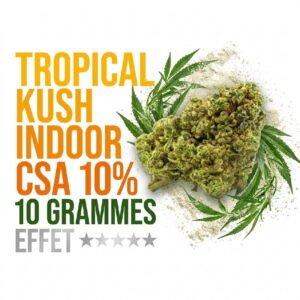 tropical-kush-fleur-cbd-csa-10-indoor-booster-molecule-10-grammes