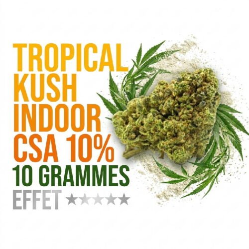 tropical-kush-fleur-cbd-csa-10-indoor-booster-molecule-10-grammes