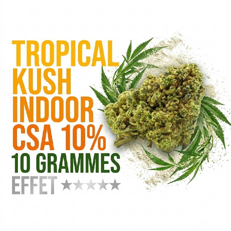 tropical-kush-fleur-cbd-csa-10-indoor-booster-molecule-10-grammes