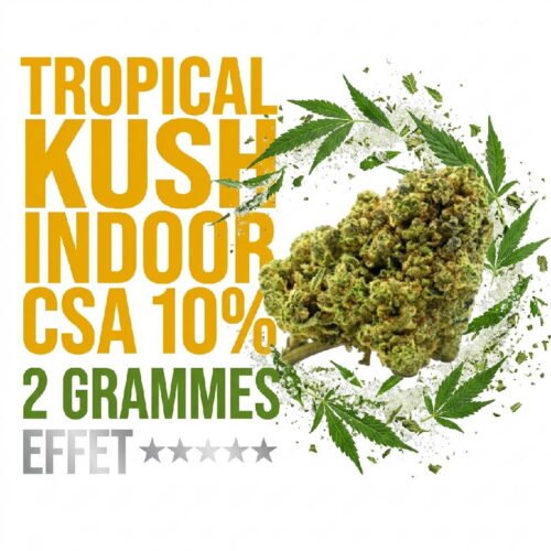 tropical-kush-fleur-cbd-csa-10-indoor-booster-molecule-2-grammes