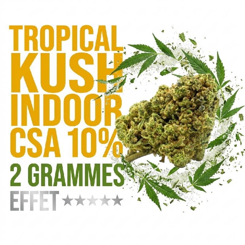 tropical-kush-fleur-cbd-csa-10-indoor-booster-molecule-2-grammes