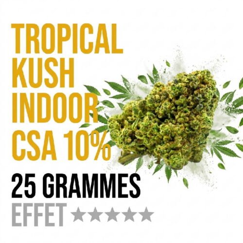 tropical-kush-fleur-cbd-csa-10-indoor-booster-molecule-25-grammes