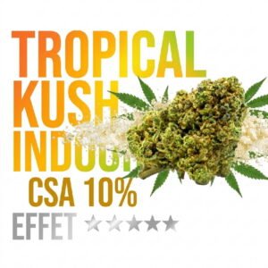 tropical-kush-fleur-cbd-csa-10-indoor-booster-molecule