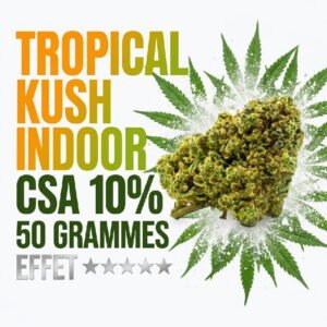 tropical-kush-fleur-cbd-csa-10-indoor-booster-molecule-50-grammes