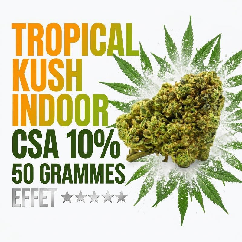 tropical-kush-fleur-cbd-csa-10-indoor-booster-molecule-50-grammes